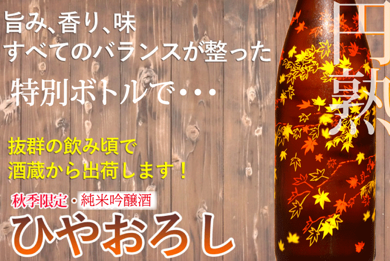 特別限定240本！純米吟醸 ひやおろし！旅行気分でどうぞ 世嬉の一酒造