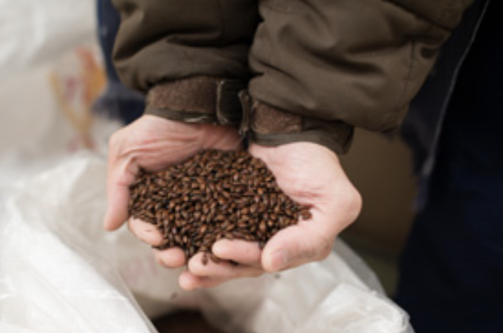 素材（地産地消と安全性）