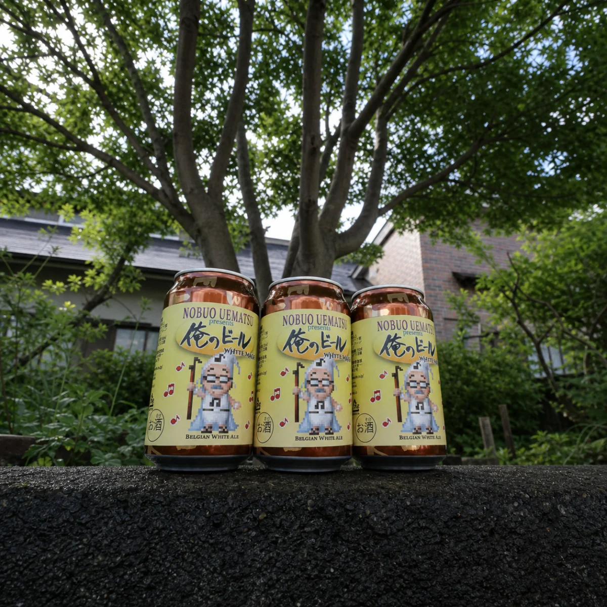一関の木々を背景に全体が見える俺のビール WHITE MAGE 3缶